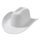 Cowboy Hat Without Trim - Yorkn Inc✅