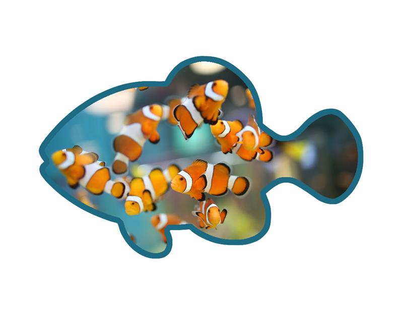 Custom Wooden Token - Yorkn Inc✅