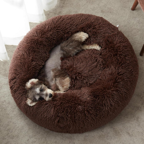 Dog & Cat Bed - Yorkn Inc✅