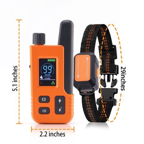 Dog Training Collars Shock Set For Two Dogs - Yorkn Inc✅