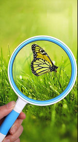 Hand Held Magnifying Glass - Yorkn Inc✅