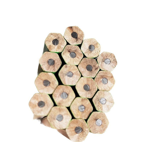 Hexagonal Student Wooden Pencil - Yorkn Inc✅