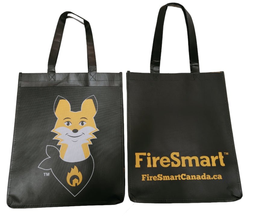 Laminated Non - woven Tote Bag With Pocket - By Boat - Yorkn Inc✅