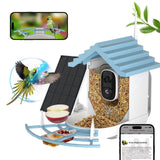 Outdoor Hanging Bird Feeder - Yorkn Inc✅