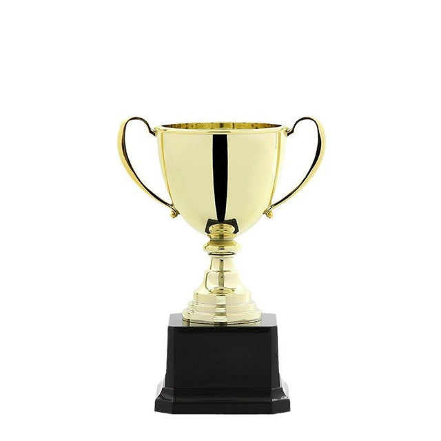 Souvenir Trophy - Yorkn Inc✅