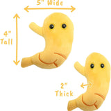 Stomach Plush Toy - Yorkn Inc✅